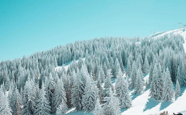 Dream Milmari L12 Apartman Kopaonik Eksteriør billede